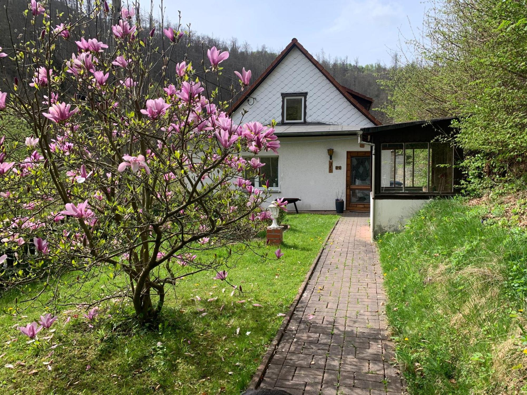 Ferienhaus Andrea Am Bodetal Treseburg Exterior photo